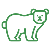 ours-polaire